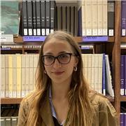 Étudiante, ayant vécu 15 années à l'étranger, parlant couramment anglais, souhaite donner des cours de tout niveau, ou cours de conversation